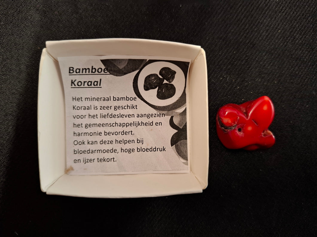 Doosje Bamboe Koraal